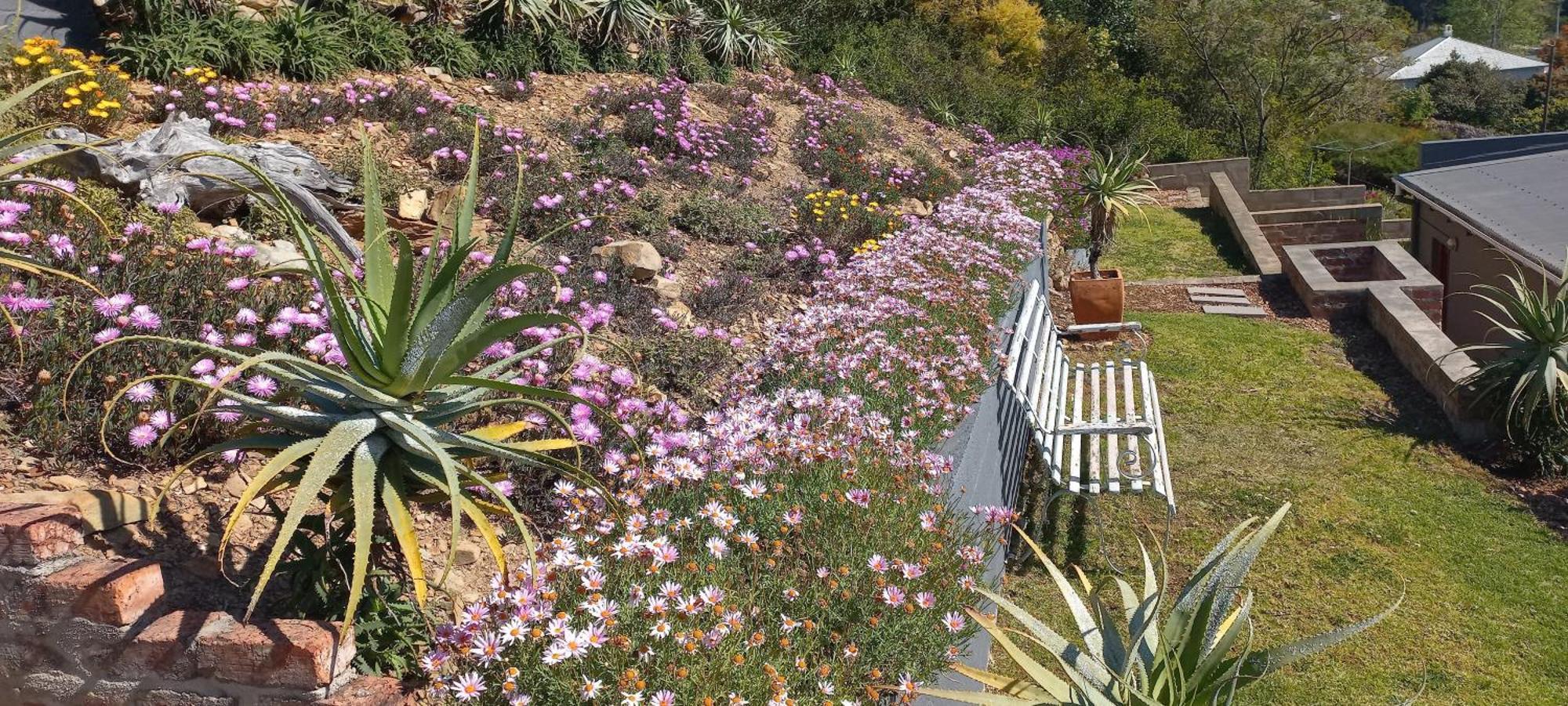 20 On Somerset Swellendam Eksteriør bilde